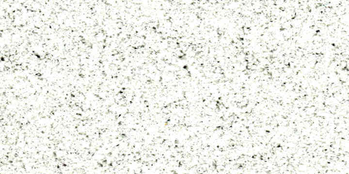 Erba sintetica bassa colore bianco neve  Prato sintetico bianco Erba Bianca adatto per standistica ed attività commerciali