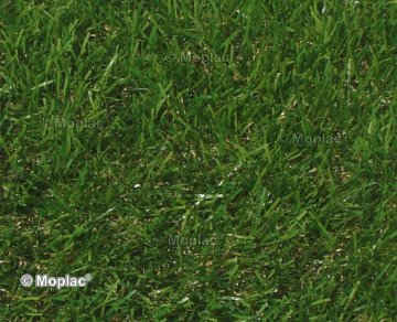 EDEN 40 2023 - Finto prato realistico Prato sintetico 40 mm. Elevata sporgenza, realistico, perfetto per giardinaggio