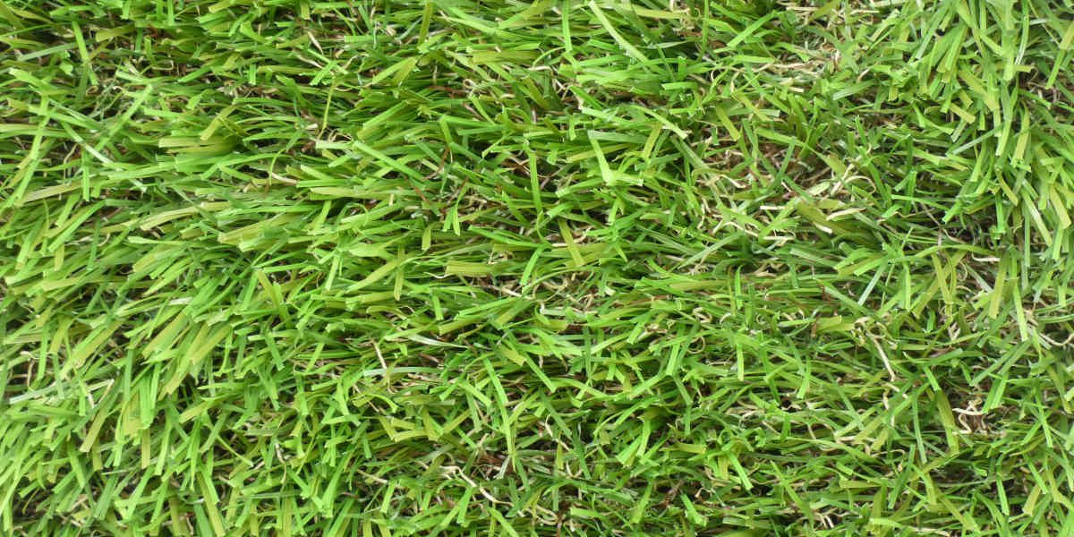 Prato sintetico dalla indiscutibile realisticità, un vero lusso per il tuo giardino!  Vera 50 plus: erba sintetica lussuosa, realistica e al tempo stesso selvatica, ideale per giardini perfetti!