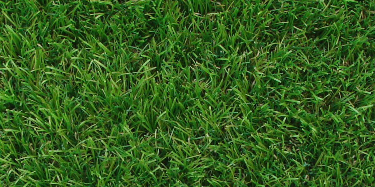Erba sintetica qualità massima  Erba sintetica Nature 40 Valle - Il massimo sotto tutti i punti di vista.