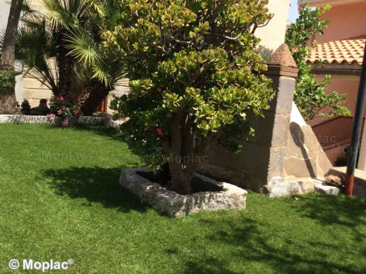 Altri piccoli giardini a dimostrazione dei perfetti risultati ottenuti con l'erba artificiale Nature 50 XL.
Prato sintetico Nature 50 XL erbasintetica-nature_50xl