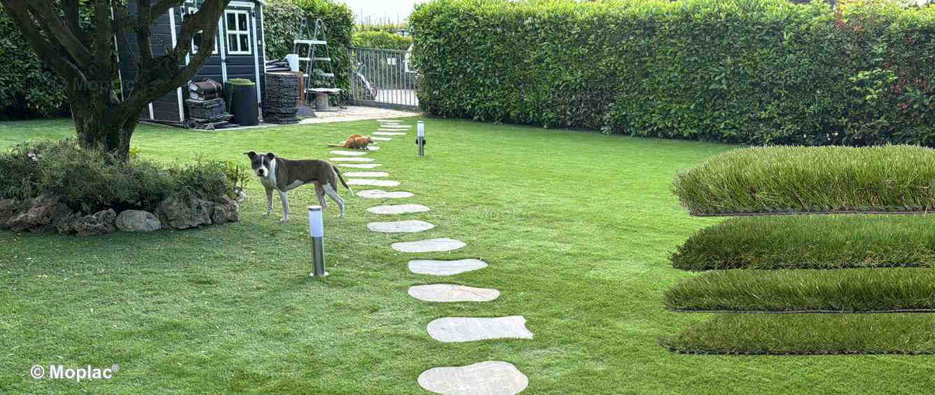 Realistiche o colorate, di alto o basso spessore.  Erba sintetica - Prato sintetico: Giardini e paesaggistica realistiche e professionali.