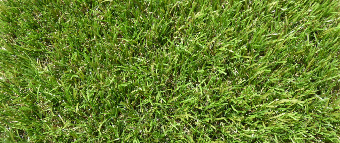 home  Erba sintetica e prato sintetico per giardinaggio ed accessori per la posa.